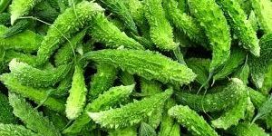 Fresh Bitter Gourd