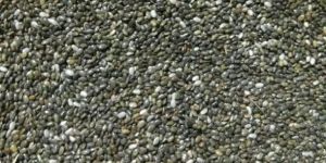 Black Chia Seeds