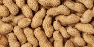 Peanut