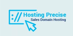 Hosting Precise, Web Hosting