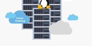 Single Domain Linux Hosting