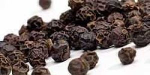 Black Pepper