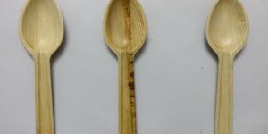 Areca Leaf Spoon