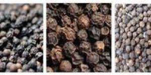 Black Pepper