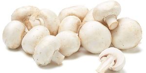 Fresh Mushrooms