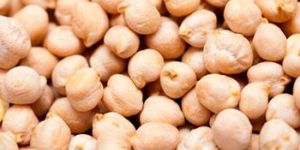 White Chickpeas