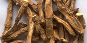 Sweet Flag Dried Root