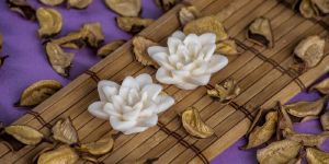 Nilofer White Candles