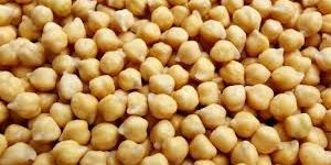 White Chickpeas