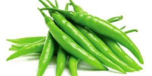 Fresh Green Chilli