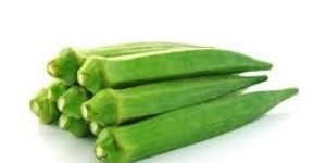 Fresh Okra
