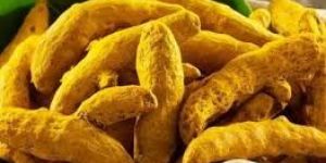 Dried Turmeric Finger