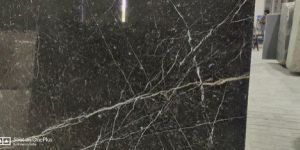 Black Fossil Marble Slab