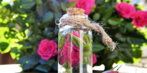 Steam Distilled Rose Water