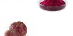 Beta Vulgaris Extract