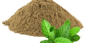 GINGER EXTRACT
