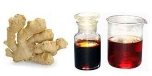Ginger Oleoresin Extract