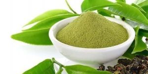 Green Tea Extract