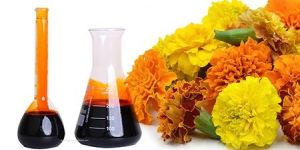Marigold Oleoresin Extract