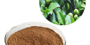 Neem Extract