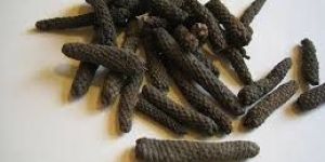 Piperlongumine Extract