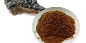 Shilajit Extract