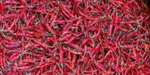 Teja Dried Red Chilli