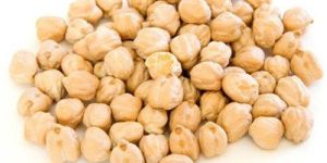 White Chickpeas