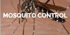 Mosquito Control Service