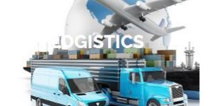 Warehouse Pest Control Service