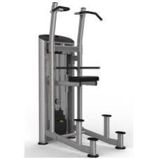 WT. ASSISTED CHIN MACHINE