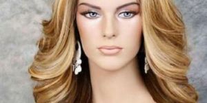 Human Hair Wigs