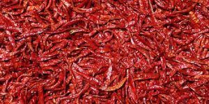 Dry Red Chilli