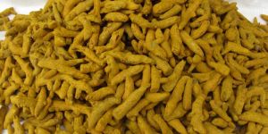 Turmeric Finger