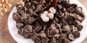 Moringa Seeds