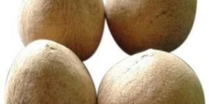 Coconut Copra