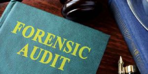 Forensic Audit Service