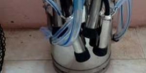 Single Bucket Milking Machine