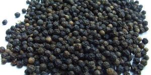 BB1 Black Pepper Seeds