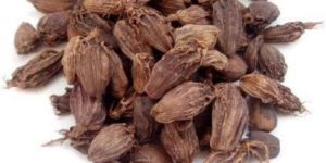 Black Cardamom
