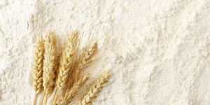Wheat Flour