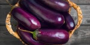 Fresh Eggplant