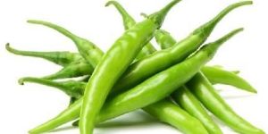 Fresh Green Chilli
