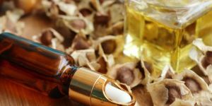 Moringa Seeds for Oil Extraction