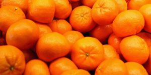 Fresh Natural Orange