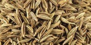 Cumin Seed