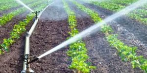Netafim Drip Irrigation System