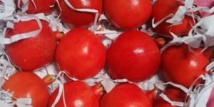 Fresh Pomegranate