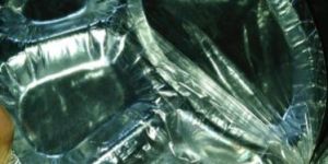 Partition Silver Paper Plates