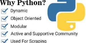 Python Training